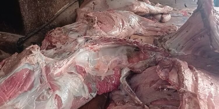 Labé : le président des bouchers et deux complices écroués dans une affaire de viande impropre à la consommation