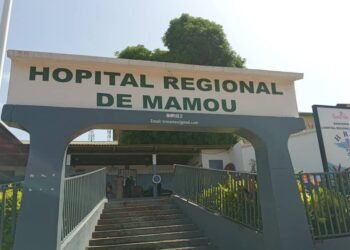 Drame routier à Mamou : au moins 15 morts, dont 7 enfants, dans une violente collision à Djarabaka