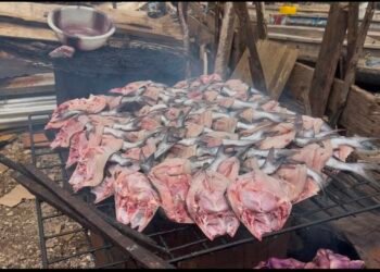 Port de Lambanyi : les fumeuses de poisson entre courage et difficultés