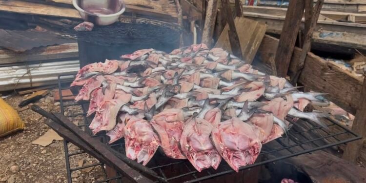 Port de Lambanyi : les fumeuses de poisson entre courage et difficultés