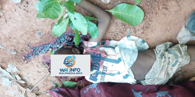 Siguiri : le corps sans vie d’un garçon de 5 ans retrouvé dans des circonstances floues