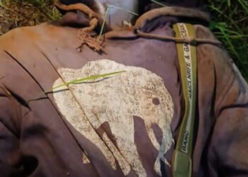 Insécurité à Siguiri : un jeune taxi-motard tué à coups de pioche, sa moto emportée à Bouré