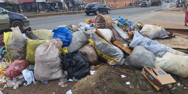 À quand la fin des ordures en Guinée ?