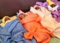 Exploit à Kankan : Des quadruplés naissent par voie basse, mère et bébés en bonne santé « Je demande de l’aide dit la mère »