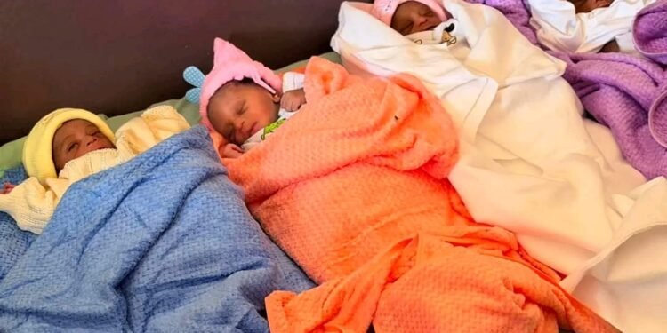 Exploit à Kankan : Des quadruplés naissent par voie basse, mère et bébés en bonne santé « Je demande de l’aide dit la mère »