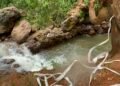 Grand Moulin : Le corps de Mamadou Aliou Diallo, 18 ans, repêché dans un marigot à Kagbelen