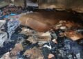 Lola : un différend autour d’un diplôme du BEPC tourne à l’incendie d’une maison familiale