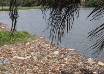 Sonfonia : autrefois source de vie, le lac aujourd’hui à l’abandon « Nous vivions grâce à ce lac   