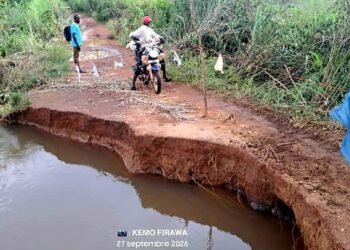 Kissidougou : Un pont endommagé coupe Dandou de plusieurs villages après de fortes pluies   