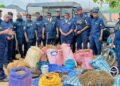 Lola : 120 kg de cannabis saisis à Woroyapo, trois personnes dont une femme de 20 ans interpellées