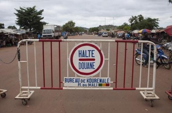 Mali : 198 000 pilules contraceptives et 36 cartons de poulets saisis à la frontière de Kouremalé